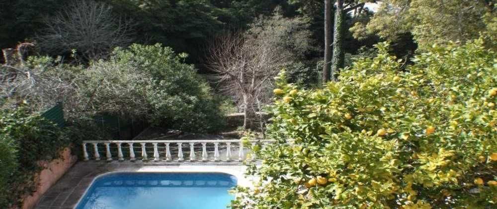 Acucena Vintage Bed & Breakfast Синтра Экстерьер фото